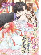囚われた花嫁の甘美過ぎる婚前実習(夢中文庫クリスタル)