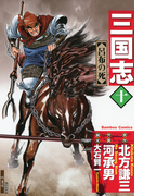 三国志 10(バンブーコミックス)