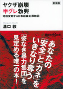 新装版 ヤクザ崩壊 半グレ勃興 地殻変動する日本組織犯罪地図(講談社+α文庫)