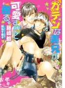 ガテンな義兄が可愛すぎて困る。【小説&漫画収録】(角川ルビー文庫)