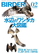 BIRDER2016年2月号