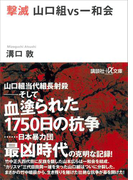 撃滅 山口組VS一和会(講談社+α文庫)