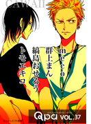 Qpa vol.37 カワイイ