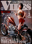 VIBES【バイブズ】2016年3月号(VIBES)