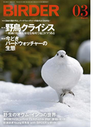 BIRDER2016年3月号