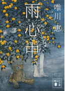 雨心中(講談社文庫)
