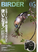 BIRDER2016年5月号