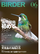 BIRDER2016年6月号