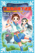 亡霊島の地下迷宮 マジカルストーンを探せ! Part4(講談社青い鳥文庫 )