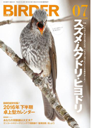 BIRDER2016年7月号
