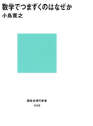 数学でつまずくのはなぜか(講談社現代新書)