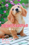 小学館ジュニア文庫 天国の犬ものがたり~夢のバトン~(小学館ジュニア文庫)