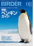 BIRDER2016年8月号