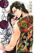 嫁さんの飯がマズい!!【特別版】(イラスト付き)(Cross novels)
