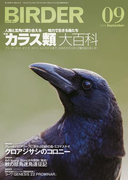 BIRDER2016年9月号