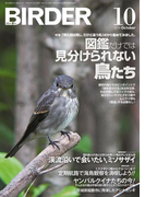 BIRDER2016年10月号