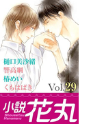 小説花丸 Vol.29(小説花丸)