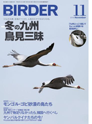 BIRDER2016年11月号