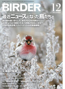 BIRDER2016年12月号