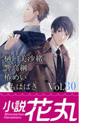小説花丸 Vol.30(小説花丸)