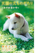 小学館ジュニア文庫 天国の犬ものがたり~わすれないで~(小学館ジュニア文庫)