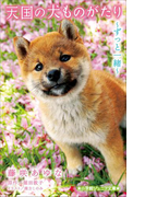 小学館ジュニア文庫 天国の犬ものがたり~ずっと一緒~(小学館ジュニア文庫)