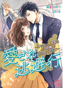 愛され逃避行【SS付】【イラスト付】(チュールキス文庫)