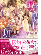 双子皇子の愛玩【イラスト付】(シフォン文庫)