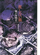 涯しない旅(集英社文庫)