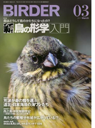 BIRDER2017年3月号