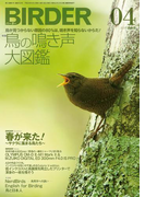 BIRDER2017年4月号