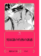 男奴隷の灼熱の誘惑【イラスト入り】(乙蜜ミルキィ文庫)