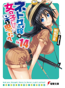 ネトゲの嫁は女の子じゃないと思った? Lv.14 (電撃文庫)(電撃文庫)
