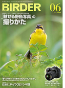 BIRDER2017年6月号