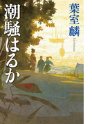 潮騒はるか(幻冬舎単行本)