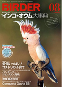 BIRDER2017年8月号