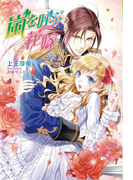 嵐を呼ぶ花嫁(マリーローズ文庫)