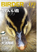 BIRDER2017年9月号