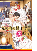 丸の内の最上階で恋したら 摩天楼の夜<単行本未収録ショート付>【イラスト入り】(ビーボーイノベルズ)