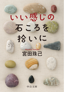 いい感じの石ころを拾いに