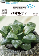 多肉植物ハオルチア