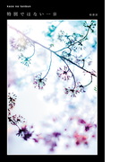 特別ではない一日 kaze no tanbun