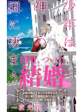 少年は神の国に棲まう 【イラスト付】【電子限定SS付】