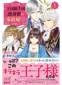 私この度、王国騎士団独身寮の家政婦をすることになりました(1)