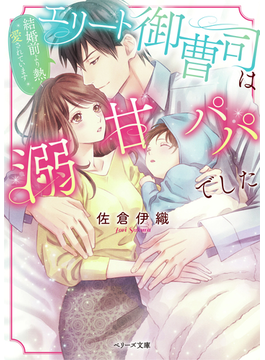 (仮)君に二度目の恋をする (ベリーズ文庫)
