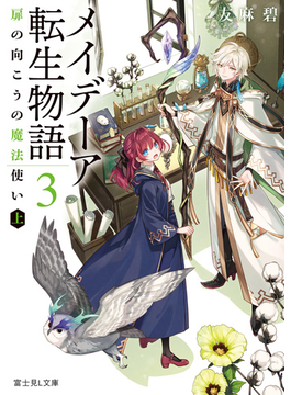メイデーア転生物語 3 扉の向こうの魔法使い(上) (富士見L文庫)