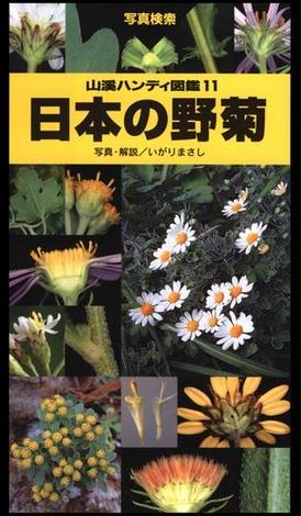ヤマケイハンディ図鑑11 日本の野菊
