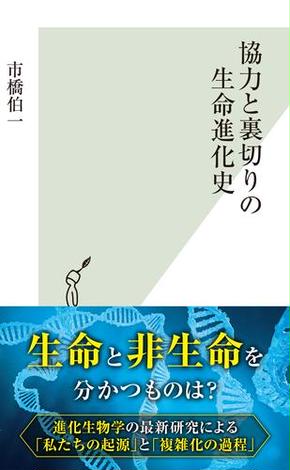 増えるものたちの進化生物学 (ちくまプリマー新書 ４２３)』(市橋伯一