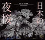 日本の夜桜