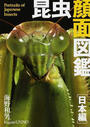 昆虫顔面図鑑 日本編 Ｐｏｒｔｒａｉｔｓ ｏｆ Ｊａｐａｎｅｓｅ Ｉｎｓｅｃｔｓ